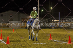 PC4HFair2015_9611_notforcopy