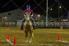 PC4HFair2015_9623_notforcopy