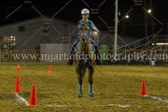 PC4HFair2015_9647_notforcopy