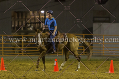 PC4HFair2015_9663_notforcopy