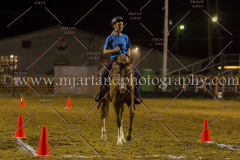 PC4HFair2015_9668_notforcopy