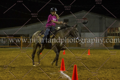 PC4HFair2015_9693_notforcopy