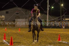 PC4HFair2015_9695_notforcopy