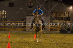 PC4HFair2015_9737_notforcopy