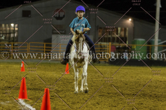 PC4HFair2015_9753_notforcopy