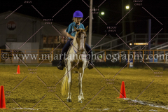 PC4HFair2015_9758_notforcopy