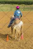 PC4HFair2015_8414_notforcopy