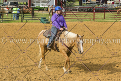 PC4HFair2015_8425_notforcopy