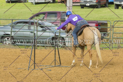 PC4HFair2015_8456_notforcopy