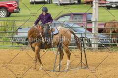 PC4HFair2015_8635_notforcopy