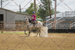 PC4Hbootcamp2015_4695_notforcopy