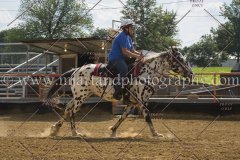 PC4Hbootcamp2015_4724_notforcopy