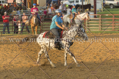 PC4HfunShow2015_0251_notforcopy