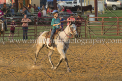 PC4HfunShow2015_0328_notforcopy