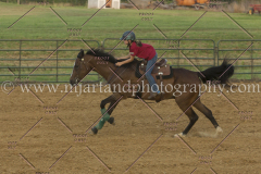 PC4HfunShow2015_0370_notforcopy