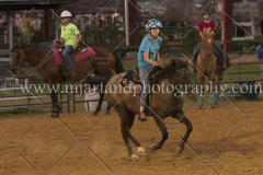 PC4HfunShow2015_0837_notforcopy