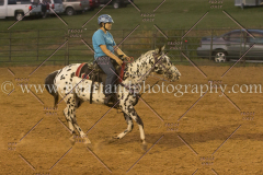 PC4HfunShow2015_0879_notforcopy