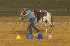 PC4HfunShow2015_0887_notforcopy