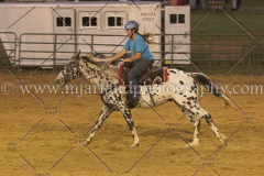 PC4HfunShow2015_0894_notforcopy