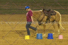 PC4HfunShow2015_0907_notforcopy