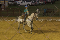PC4HfunShow2015_0932_notforcopy