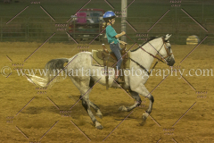 PC4HfunShow2015_0934_notforcopy