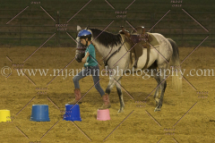 PC4HfunShow2015_0942_notforcopy