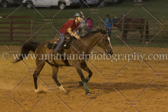 PC4HfunShow2015_0952_notforcopy