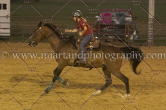 PC4HfunShow2015_0970_notforcopy