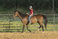 PC4HfunShow2015_9800_notforcopy