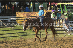 PC4HfunShow2015_9810_notforcopy