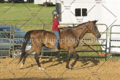 PC4HfunShow2015_9824_notforcopy
