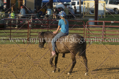 PC4HfunShow2015_9846_notforcopy