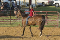 PC4HfunShow2015_9849_notforcopy