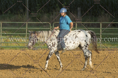 PC4HfunShow2015_9854_notforcopy