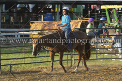 PC4HfunShow2015_0029_notforcopy