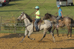 PC4HfunShow2015_9982_notforcopy