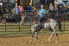 PC4HfunShow2015_9983_notforcopy