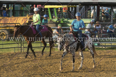 PC4HfunShow2015_9987_notforcopy