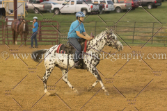 PC4HfunShow2015_0772_notforcopy