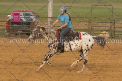 PC4HfunShow2015_0780_notforcopy