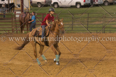 PC4HfunShow2015_0826_notforcopy