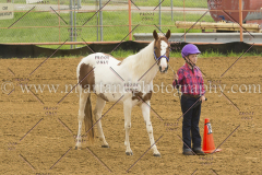 PC4Hbootcamp2015_2811_notforcopy