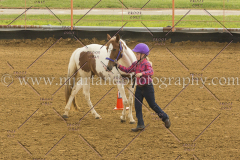 PC4Hbootcamp2015_2829_notforcopy