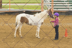 PC4Hbootcamp2015_2848_notforcopy