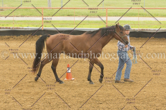 PC4Hbootcamp2015_2871_notforcopy