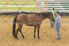 PC4Hbootcamp2015_2883_notforcopy