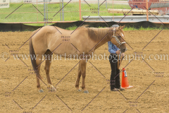 PC4Hbootcamp2015_2887_notforcopy