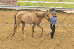 PC4Hbootcamp2015_2895_notforcopy