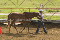 PC4Hbootcamp2015_2968_notforcopy